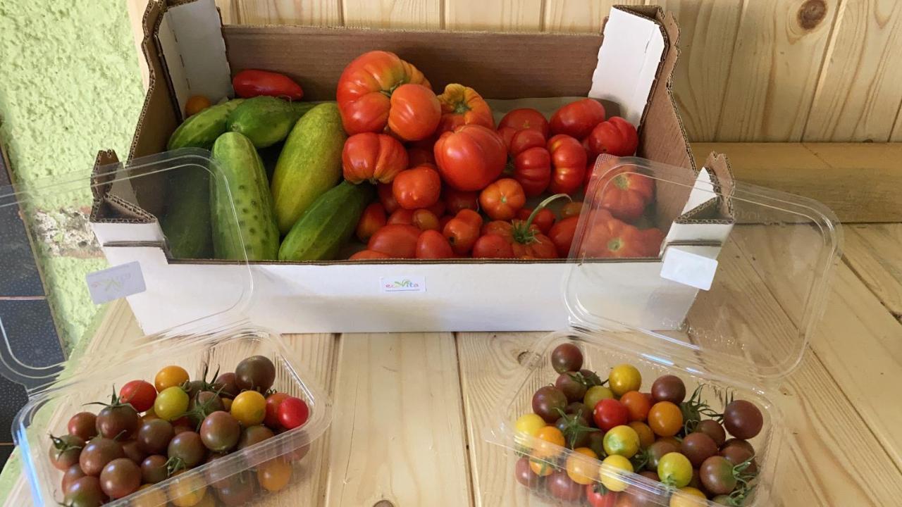 Ecovita Agri-Glamping San Vito  Exteriér fotografie